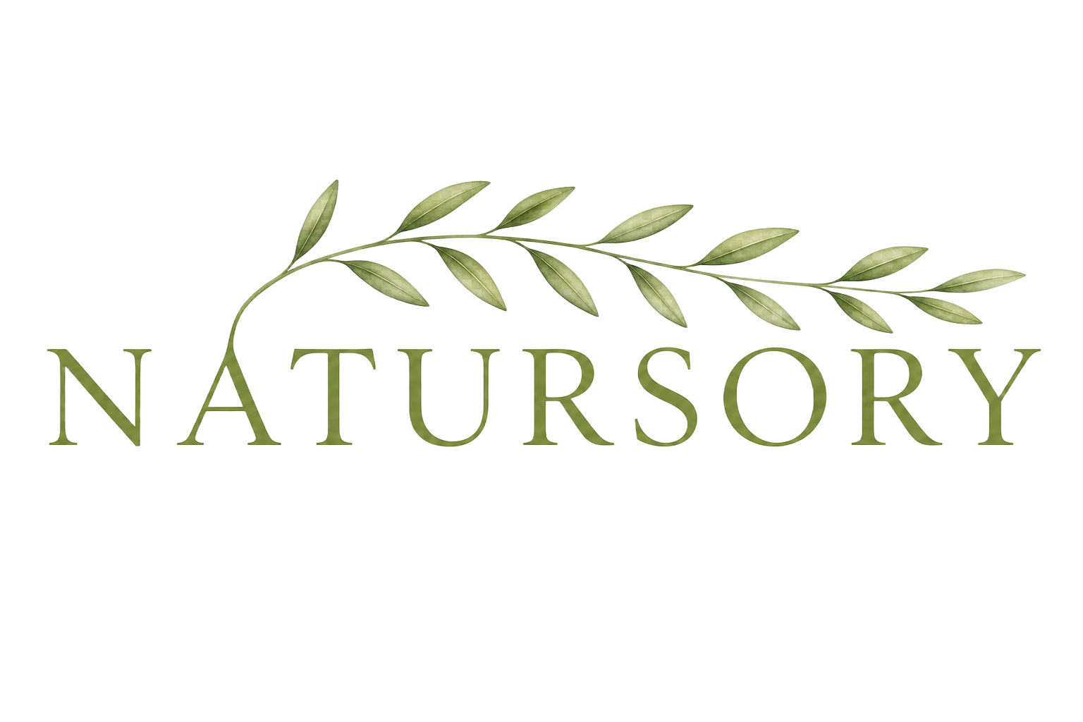 Natursory · Consulta online de nutrición antiinflamatoria — Soraya